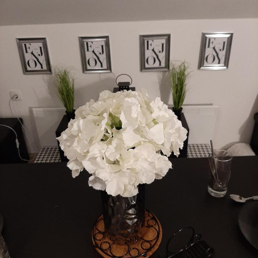 Apartment Mansarda Maribor Luaran gambar