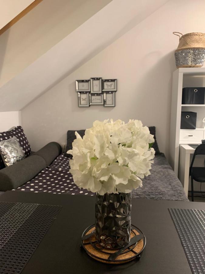 Apartment Mansarda Maribor Luaran gambar